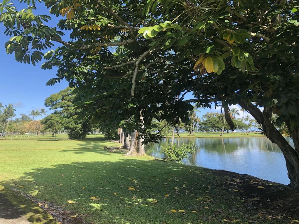 Stunning Views Best Location In Hilo 2Br Modern Condo Exteriör bild